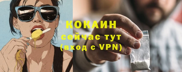 прущий лед Новозыбков