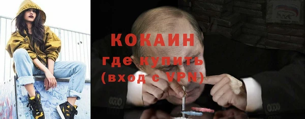 прущий лед Новозыбков