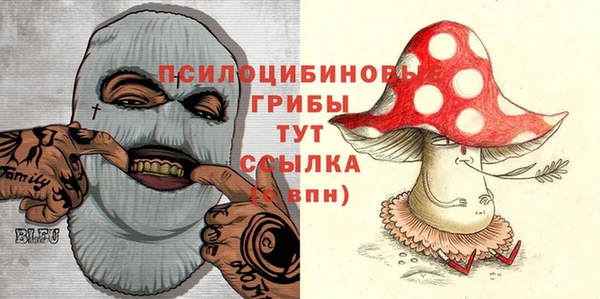 прущий лед Новозыбков