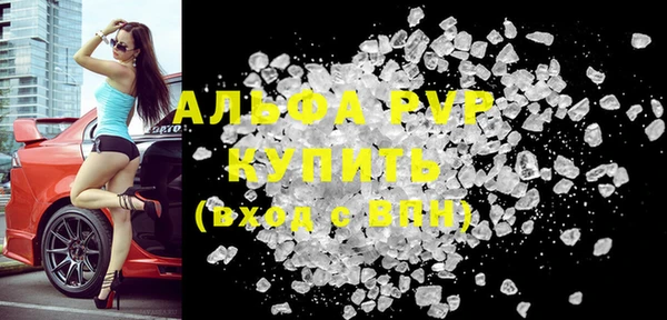 прущий лед Новозыбков